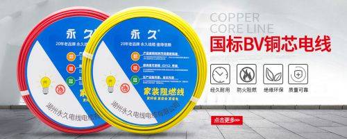 湖州永久電線(xiàn)電纜有限公司和本司簽約網(wǎng)站建設條款