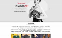 企業(yè)網(wǎng)站設計的原則和技術(shù)