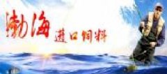 天津渤海海洋進(jìn)出口有限公司與我公司簽訂網(wǎng)站建設條款