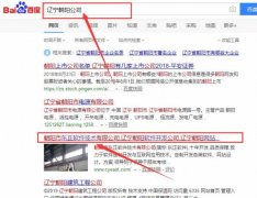 朝陽(yáng)市東正軟件技術(shù)有限公司跟本公司簽訂網(wǎng)站推廣項目