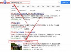 黔東南州創(chuàng  )博生產(chǎn)力促進(jìn)有限公司與我司簽下關(guān)鍵詞搜索排名協(xié)議