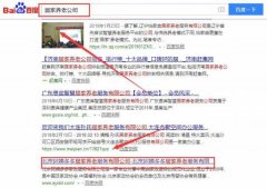 北京阿姨多多居家養老服務(wù)有限公司和我公司簽訂網(wǎng)站開(kāi)發(fā)項目