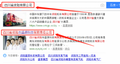 四川省資陽(yáng)市盛源科技有限責任公司與我司做網(wǎng)站推廣項目