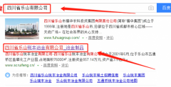 四川省樂(lè )山銳豐冶金有限公司與我司做網(wǎng)站推廣項目