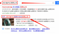 四川省內江蜀源水輪機有限公司和我公司簽訂網(wǎng)站開(kāi)發(fā)項目