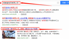 桂陽(yáng)歐雅門(mén)窗有限公司與本司簽約網(wǎng)站設計項目