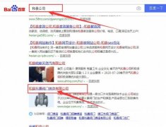 和縣*嘉閥門(mén)鑄造有限公司與我司做快速排名項目
