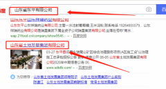 山東省土地發(fā)展集團有限公司與本司簽約網(wǎng)站開(kāi)發(fā)協(xié)議
