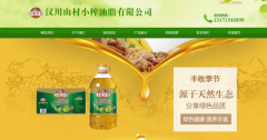 漢川山村*榨油脂有限公司網(wǎng)站建設有創(chuàng  )意的主題設計