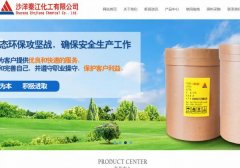 沙洋秦*化工有限公司建網(wǎng)站新一代自助建站、智能建站系統