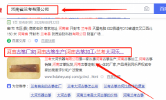 蘭考*河樂(lè )器有限公司網(wǎng)站建設營(yíng)銷(xiāo)型案例作品