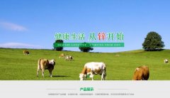 常寧市*興冶化實(shí)業(yè)有限責任公司制作網(wǎng)站基本流程