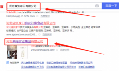 河北*強實(shí)業(yè)集團有限公司網(wǎng)站建設案例欣賞