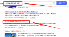 承德*河克羅尼儀表有限公司網(wǎng)站建設有創(chuàng  )意的主題設計