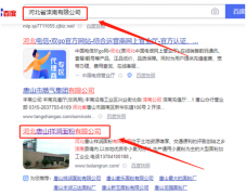 唐山*潤面粉有限公司網(wǎng)站建設創(chuàng  )意網(wǎng)站效果展示