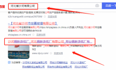 河北*新造紙（西院）有限公司網(wǎng)站建設創(chuàng  )意網(wǎng)站效果展示