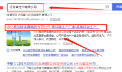河北*爾特體育用品有限公司網(wǎng)站建設有創(chuàng  )意的主題設計