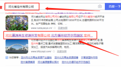 河北*源再生資源開(kāi)發(fā)有限公司網(wǎng)站建設平面設計案例作品