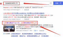 云南*成集團有限公司網(wǎng)站建設有創(chuàng  )意的主題設計