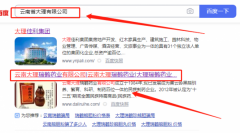 云南大理*鶴藥業(yè)有限公司網(wǎng)站建設有創(chuàng  )意的主題設計