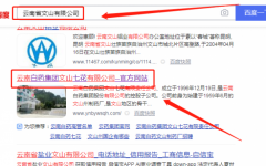 云南白藥集團文山*花有限責任公司網(wǎng)站建設有創(chuàng  )意的主題設計