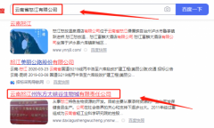 云南怒江州東*大峽谷生物城有限責任公司網(wǎng)站建設新一代自助建站、智能建站系統