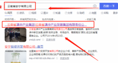 云南省*中產(chǎn)業(yè)發(fā)展集團有限責任公司網(wǎng)站建設創(chuàng  )意網(wǎng)站效果展示