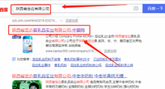 陜西省定邊縣*品實(shí)業(yè)有限公司官網(wǎng)站建設策劃作品欣賞