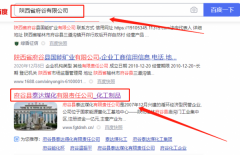 府谷縣泰*煤化有限責任公司網(wǎng)站建設平面設計案例作品