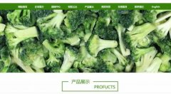 新泰市*外貿易公司網(wǎng)站建設創(chuàng  )意網(wǎng)站效果展示