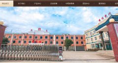 安徽新*藥業(yè)有限公司網(wǎng)站建設有創(chuàng )意的主題設計