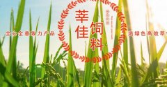 山東莘縣莘*飼料有限公司網(wǎng)站建設可視化建站作品欣賞