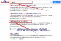 寧夏灝*生物科技產(chǎn)業(yè)有限公司網(wǎng)站建設有創(chuàng  )意的主題設計