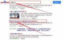 寧夏瑞*科技股份有限公司網(wǎng)站建設平面設計案例作品