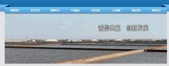 山東昌邑*戶(hù)鹽化有限公司網(wǎng)站建設H5案例作品
