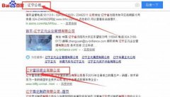 遼寧富*肥業(yè)有限公司網(wǎng)站建設營(yíng)銷(xiāo)型案例作品
