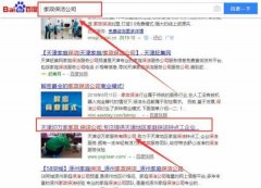 天津迎*家家政服務(wù)有限公司網(wǎng)站建設創(chuàng  )意網(wǎng)站效果展示