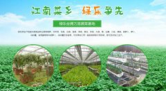 樂(lè )平市*樂(lè )食品有限公司網(wǎng)站建設基本流程