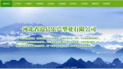 河北省滄縣樂(lè )*塑業(yè)有限公司網(wǎng)站制作平面設計案例作品