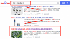 泰安市泰山區*飛電子有限公司網(wǎng)站建設案例欣賞