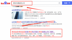 山東卓*網(wǎng)絡(luò )科技有限公司官網(wǎng)站建設策劃作品欣賞