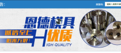 河間市恩*模具有限公司網(wǎng)站建設有創(chuàng  )意的主題設計