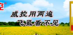 山西運城綠*實(shí)業(yè)有限公司網(wǎng)站建設有創(chuàng  )意的主題設計