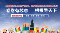 高平市高*線(xiàn)纜有限公司網(wǎng)站制作可視化建站作品欣賞