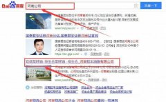 河南*豐油脂有限公司網(wǎng)站建設創(chuàng  )意網(wǎng)站效果展示