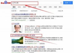 遼寧*祥國際旅行社有限公司網(wǎng)站建設營(yíng)銷(xiāo)型案例作品