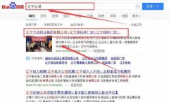 遼寧萬(wàn)*鎂業(yè)集團有限公司網(wǎng)站建設案例欣賞