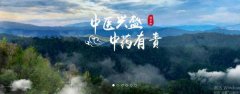 普洱淞*醫藥集團有限公司網(wǎng)站建設新一代自助建站、智能建站系統