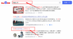 鳳城市富*化工有限公司網(wǎng)站建設創(chuàng  )意網(wǎng)站效果展示