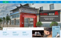 大理白族自治州中*制藥有限公司網(wǎng)站建設有創(chuàng  )意的主題設計